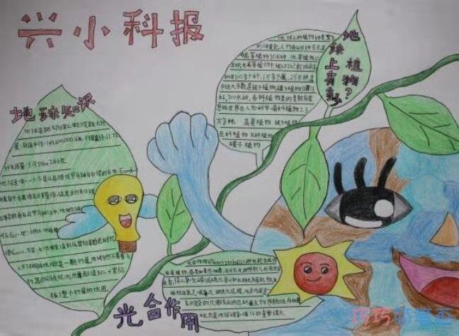 四上科学关于矿物的手抄报关于生物的手抄报