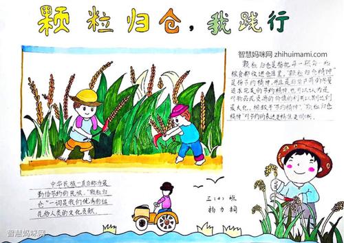 颗粒归仓我践行手抄报图片