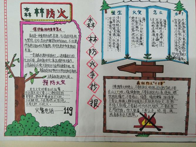 森林防火主题手抄报展示