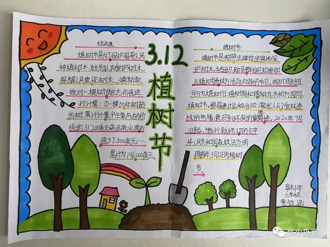 小学三年级创意植树节手抄报怎么画