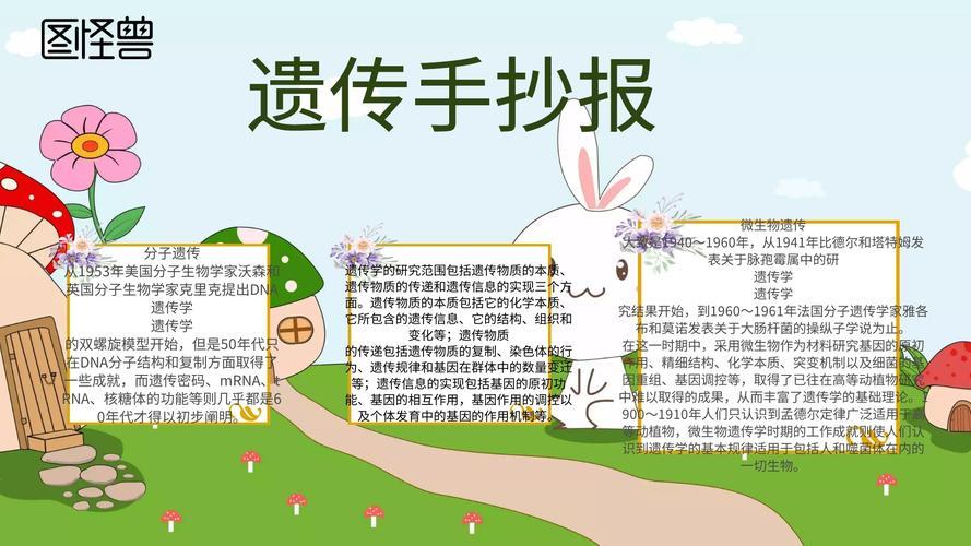 遗传和变异的科学手抄报身边的科学手抄报