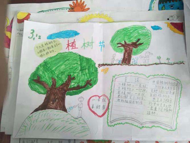 灞桥区新建小学一年级 植树造林 手抄报优秀作品赏