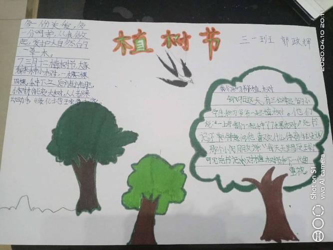 一棵树的价值手抄报一棵树的救赎四年级手抄报环保手抄报内容保护树木