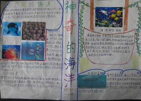 海底世界手抄报图片 走近海洋