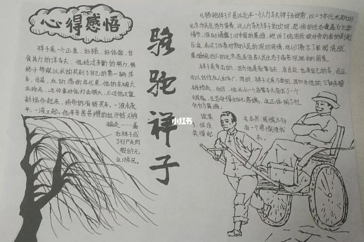 骆驼祥子手抄报