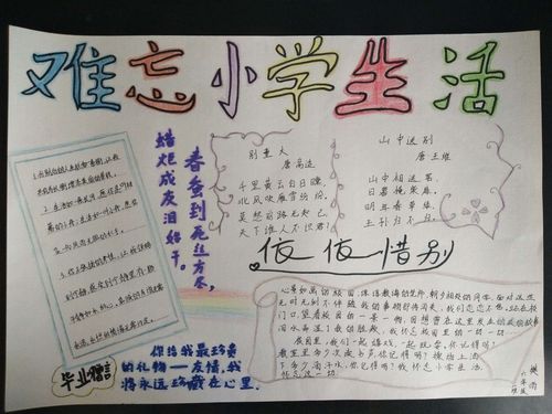 城关小学六年级八班 难忘的小学生活 手抄报展示