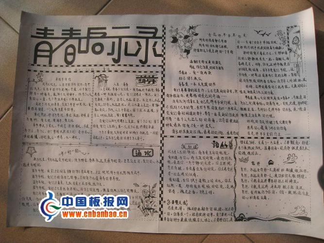 青春启示录手抄报图片