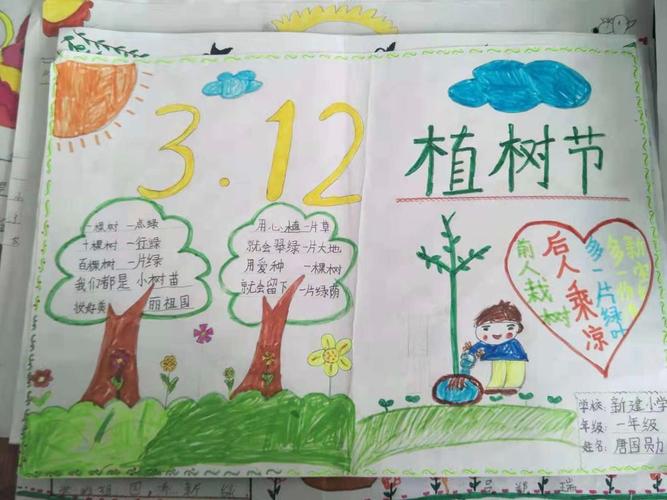 灞桥区新建小学一年级 植树造林 手抄报优秀作品赏