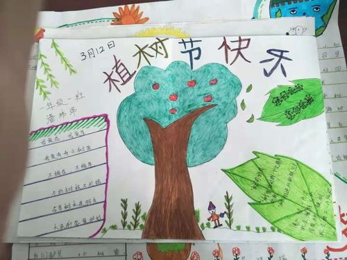 灞桥区新建小学一年级 植树造林 手抄报优秀作品赏