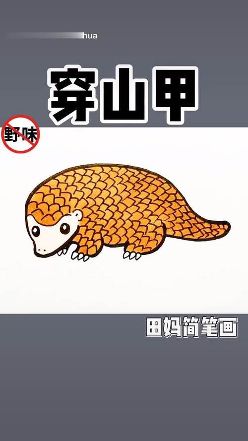 杂粮做的穿山甲手抄报手抄报图片大全集