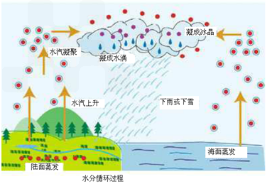 水蒸气是从哪里来的手抄报 爱的手抄报