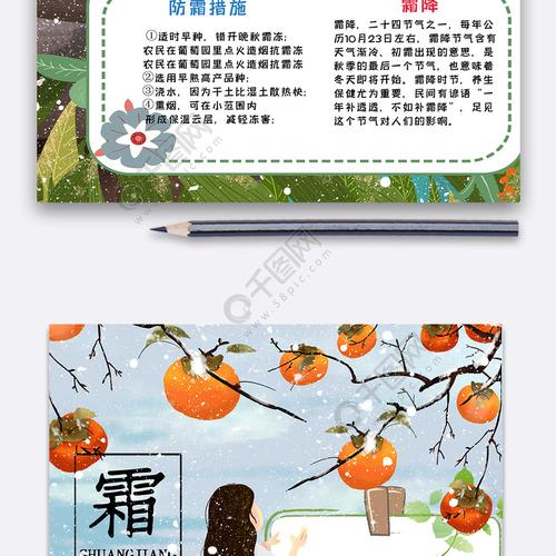 雪花柿子霜降手抄报