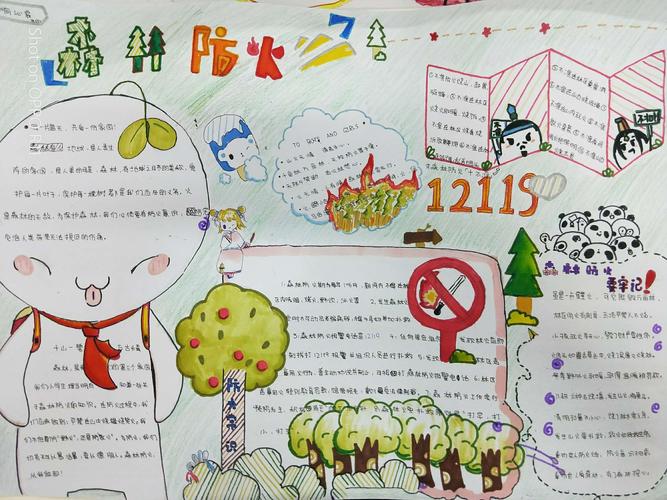 精准德育第三期:森林消防教育之手抄报比赛
