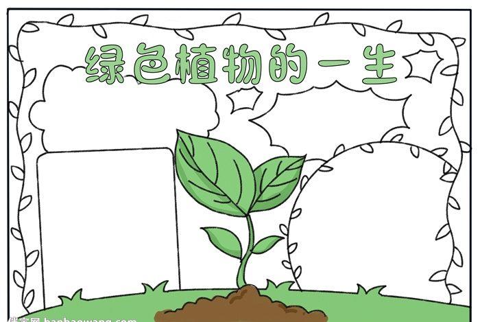 绿色植物的一生手抄报