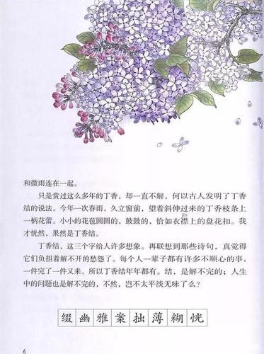 怎样画丁香花手抄报怎样画手抄报