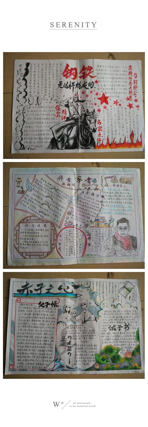 养眼 英墩中学寒假读书手抄报出炉啦