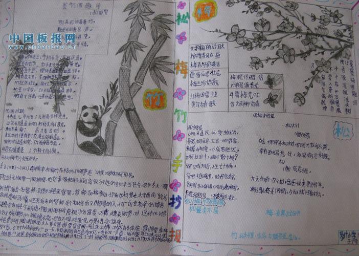 岁寒三友手抄报大全 岁寒三友手抄报大全