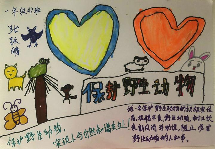 敬畏生命 保护野生动物 榆林高新小学一年级一班手抄报