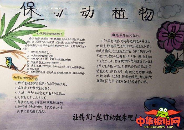 美丽的大自然手抄报图片 保护动植物我们的地球是一个充满着生命力的