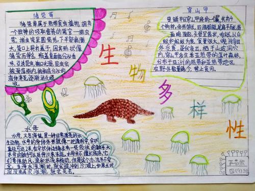 生物多样性手抄报内容素材最新国际生物多样性日手抄报四9班生物多样