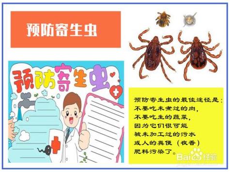 年级预防寄生虫手抄报教程预防寄生虫的手抄报怎么写预防蛔虫手抄报