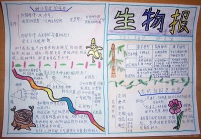 初中生物植物手抄报初中生物植物手抄报图片大全