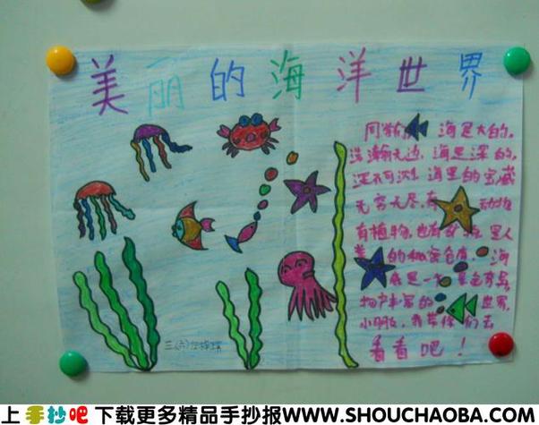 植物大世界的手抄报海底世界的手抄报