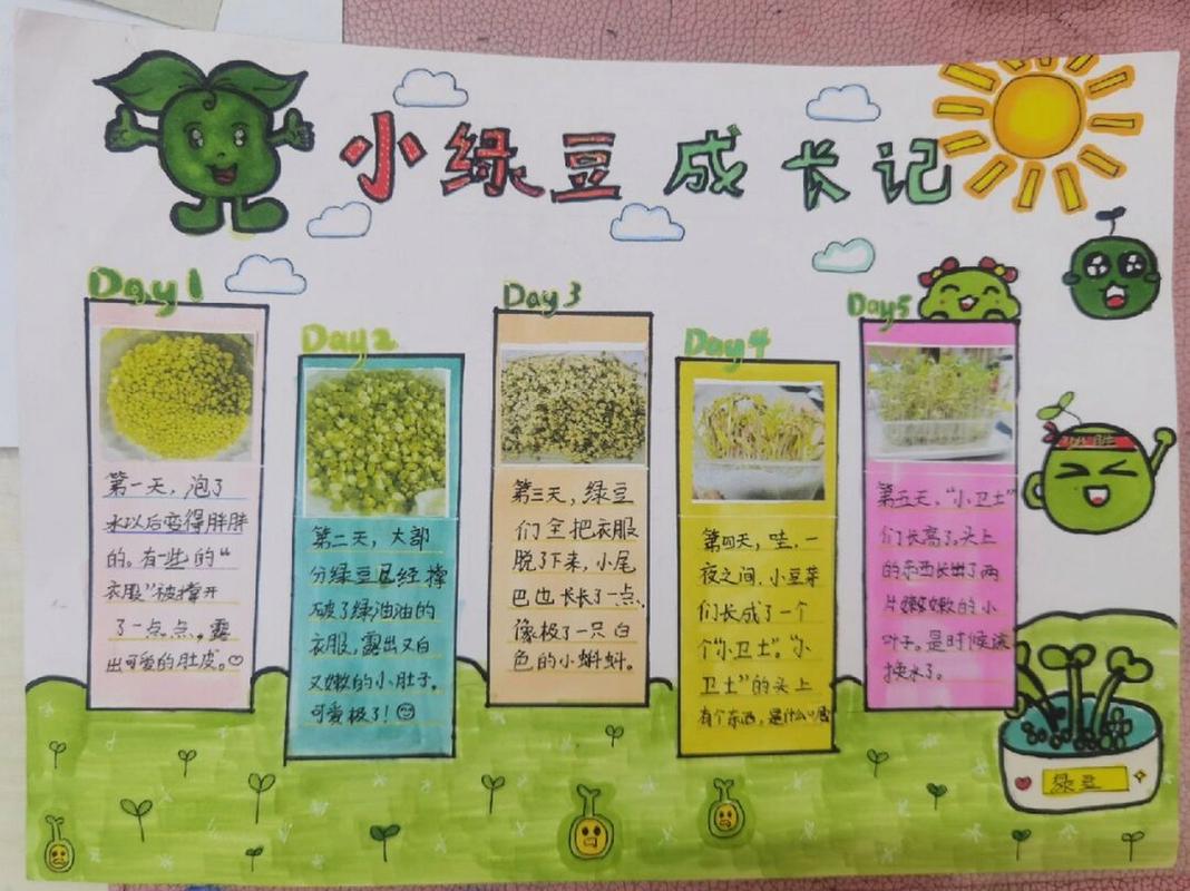 观察日记 绿豆芽 四年级上学期观察日记手抄报