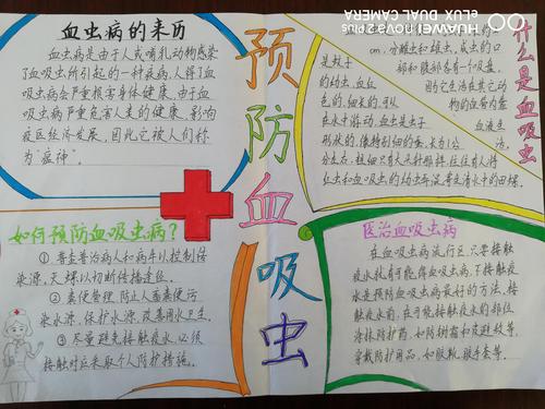 常周小学:开展预防血吸虫病手抄报评比活动