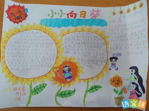 向日葵的生长记录图小学生手抄报 小学生手抄报