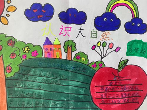 灞桥区新建小学四年级 认识大自然 手抄报作品赏