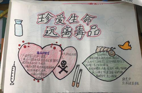 我们的节日手抄报禁毒手抄报主题为禁毒从我做起的手抄报禁毒手抄报