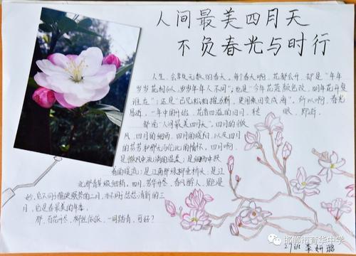 一年级最美人间四月天手抄报 一年级手抄报