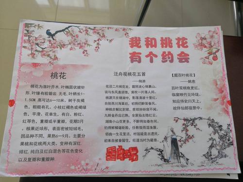 我和桃花有个约会 锡市芳草小学二年级优秀手抄报展