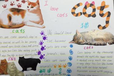 关于猫的手抄报i love cat paper-handwriting
