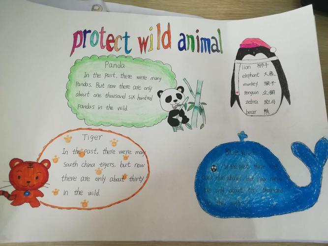 4年级英语动物手抄报动物手抄报