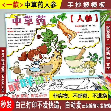 神奇中草药弘扬中医文化黑白线描涂色空白中药植物人参手抄报模板