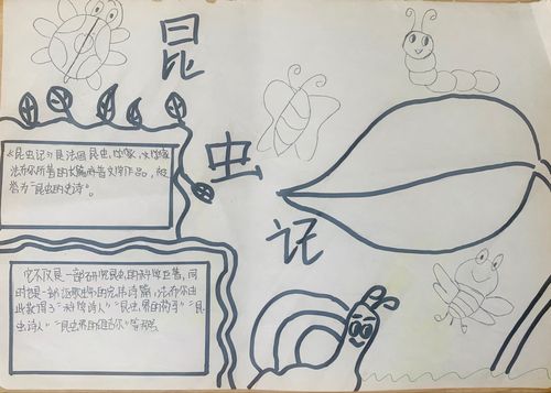 《昆虫记》手抄报展 《昆虫记》手抄报展