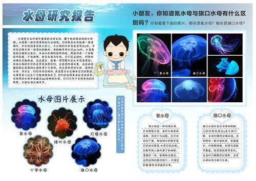 电子稿科学沉和浮的手抄报电子手抄报