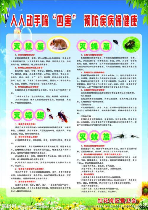 预防登革传染病灭蚊除四害手抄报预防传染病手抄报