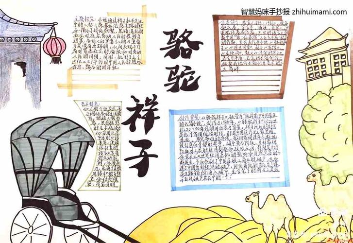 骆驼祥子手抄报 好书推荐手抄报