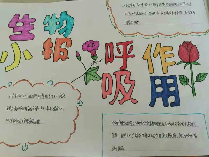 初中生物用药与急救手抄报初中生手抄报