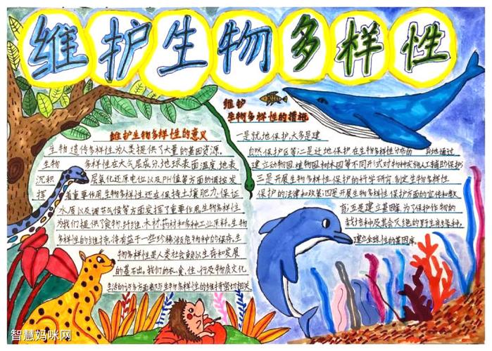 简单漂亮又好画的三年级保护生物多样性手抄报6张