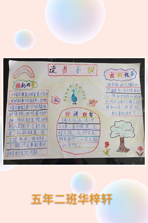 尽展读书小报手抄报思维导图作品集明德校区五年二班