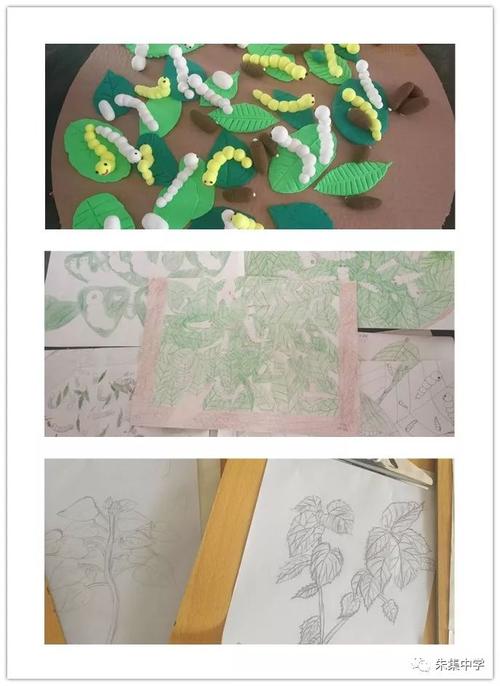 课程的融合 组织学生创作 演唱以蚕桑文化为主题的歌曲 制作手抄报