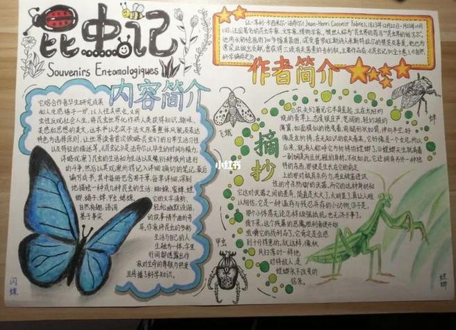 《昆虫记》手抄报 认真的人最美关于昆虫的手抄报简单遇见昆虫 潍坊