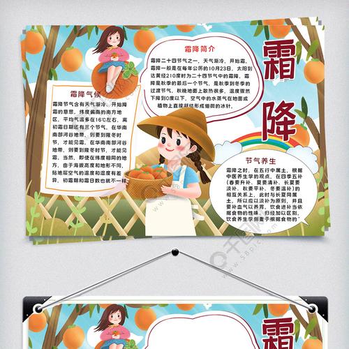 可爱小女孩摘柿子霜降手抄报