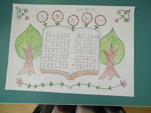 健康成长 与法同行 212的普法手抄报