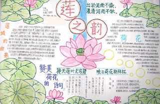 四季的花手抄报简笔画