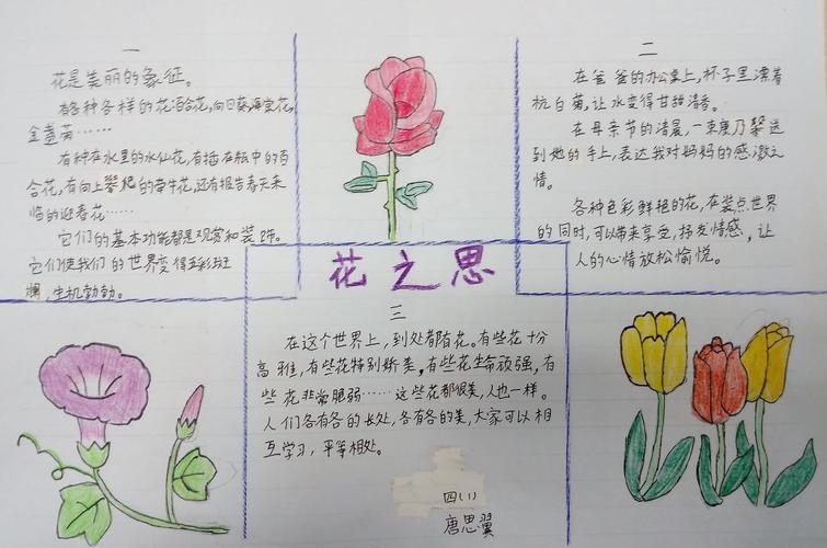 花之思手抄报图片11p